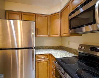 1413 Oronoco Street - Photo Thumbnail 4