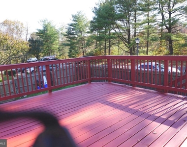 19 Shady Spring Place - Photo Thumbnail 28