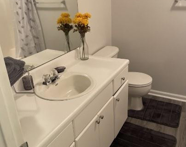 380 Bubble Creek Court - Photo Thumbnail 16