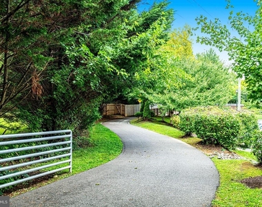 403 Train Court - Photo Thumbnail 5