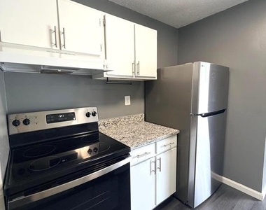 503 Daisy Drive - Photo Thumbnail 11
