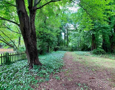 1073 Mills Street - Photo Thumbnail 19