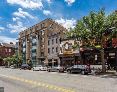 1447 Chapin Street Nw - Photo Thumbnail 13