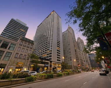535 N Michigan Avenue - Photo Thumbnail 16