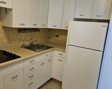 4800 S Chicago Beach Drive - Photo Thumbnail 29
