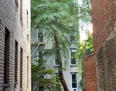 80 Cranberry Street - Photo Thumbnail 7