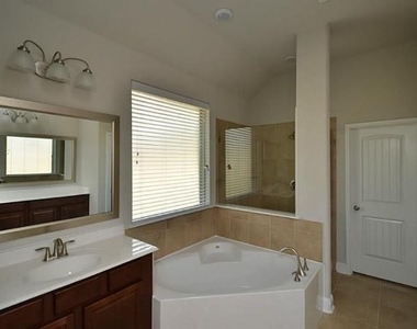 16911 Lady Bird Lake Court - Photo Thumbnail 9