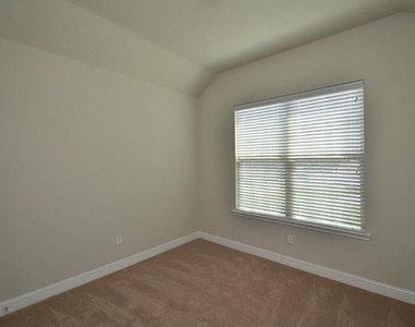 16911 Lady Bird Lake Court - Photo Thumbnail 10