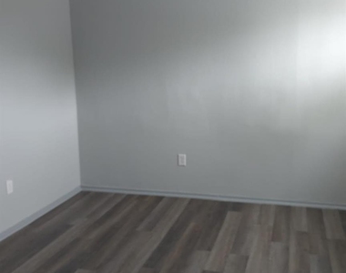 10209 Wiggins Street - Photo Thumbnail 3