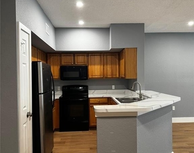 13001 Mulberry Park Drive - Photo Thumbnail 2