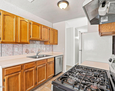 11859 Urbici Soler Drive - Photo Thumbnail 11