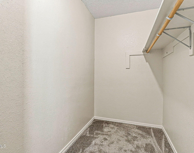 11859 Urbici Soler Drive - Photo Thumbnail 21