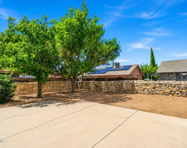 11859 Urbici Soler Drive - Photo Thumbnail 22