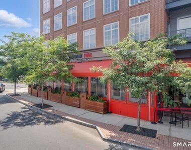 14 Haviland Street - Photo Thumbnail 31