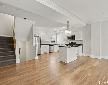 14 Haviland Street - Photo Thumbnail 12