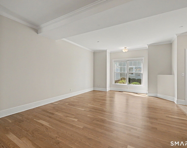 14 Haviland Street - Photo Thumbnail 11