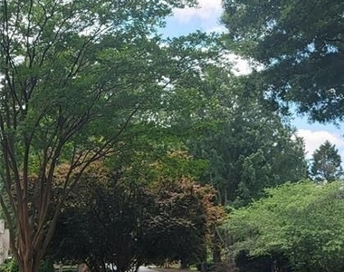 5005 Johns Creek Court - Photo Thumbnail 47