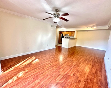 15135 Michelangelo Boulevard - Photo Thumbnail 17