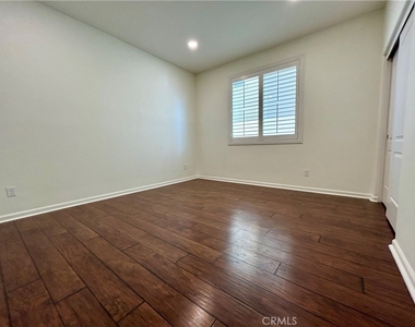 36368 Geranium - Photo Thumbnail 12