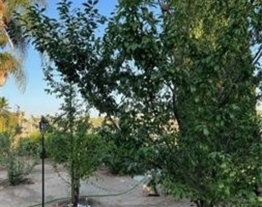 1347 Via Cibola - Photo Thumbnail 15