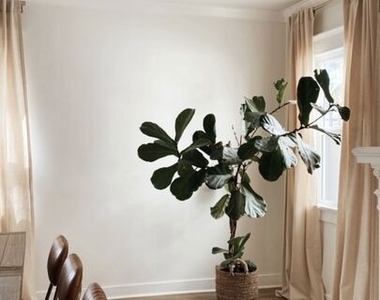 1146 S Mullen Avenue - Photo Thumbnail 10