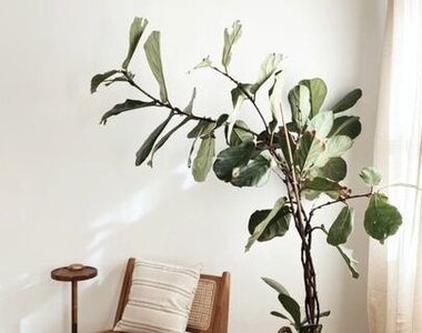 1146 S Mullen Avenue - Photo Thumbnail 14