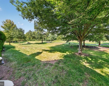 5602 Wheelwright Way - Photo Thumbnail 49