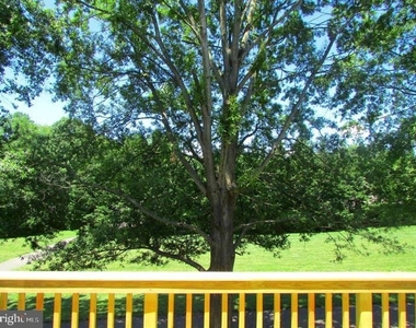 14840 Lynhodge Court - Photo Thumbnail 29