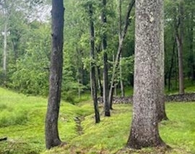 5830 Wilson Road - Photo Thumbnail 30