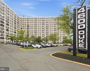 4600 Duke Street - Photo Thumbnail 39