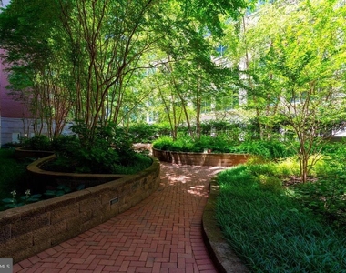820 N Pollard Street - Photo Thumbnail 44