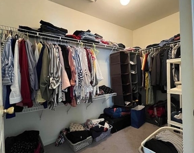 7 Shelley Circle - Photo Thumbnail 11