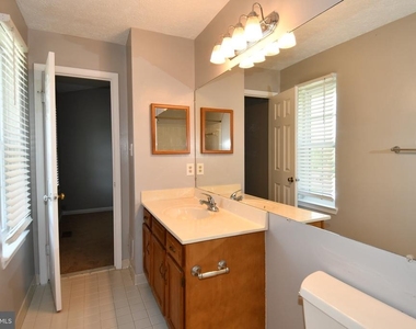 13703 Lord Sterling Place - Photo Thumbnail 59