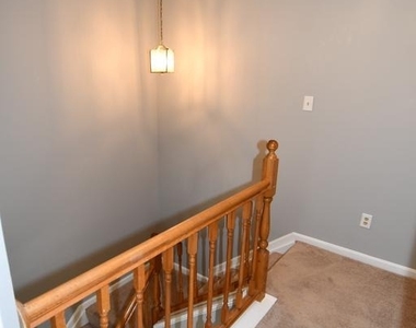 13703 Lord Sterling Place - Photo Thumbnail 54