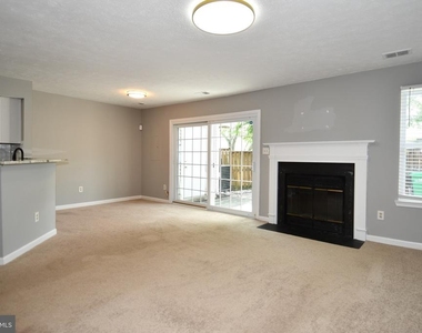13703 Lord Sterling Place - Photo Thumbnail 46