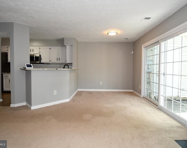 13703 Lord Sterling Place - Photo Thumbnail 47