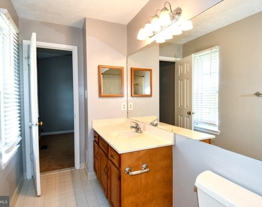 13703 Lord Sterling Place - Photo Thumbnail 23
