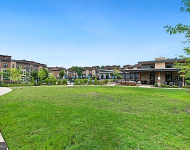 3507 Bellflower Lane - Photo Thumbnail 49