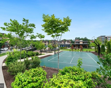 3507 Bellflower Lane - Photo Thumbnail 53
