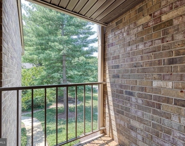 10564 Cross Fox Lane - Photo Thumbnail 20