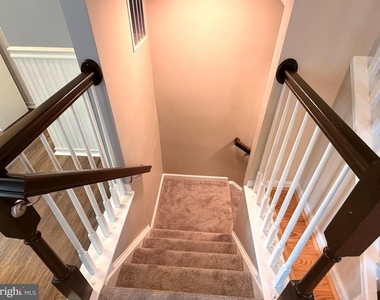 5 Silver Birch Court - Photo Thumbnail 49