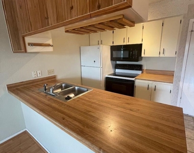 910 Duncan Ln - Photo Thumbnail 5