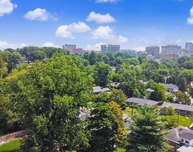 1905 Tulip Street Nw - Photo Thumbnail 53