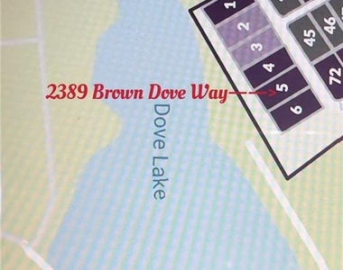2389 Brown Dove Way - Photo Thumbnail 1