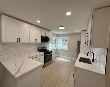 5321 S Kostner Avenue - Photo Thumbnail 3
