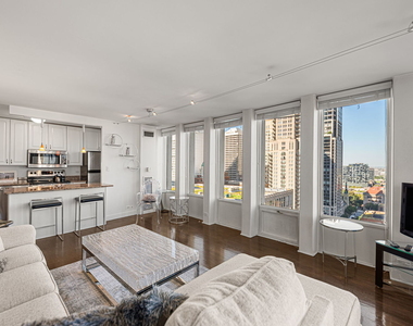 100 E Walton Street - Photo Thumbnail 2