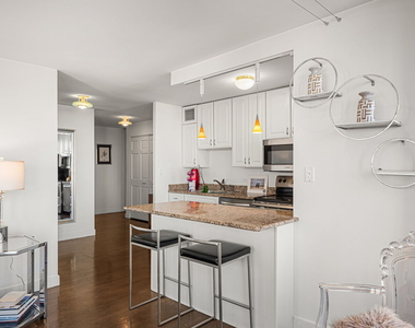 100 E Walton Street - Photo Thumbnail 3