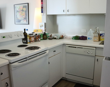 3660 N Lake Shore Drive - Photo Thumbnail 5