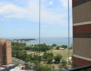 3660 N Lake Shore Drive - Photo Thumbnail 6
