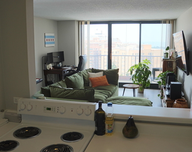 3660 N Lake Shore Drive - Photo Thumbnail 4